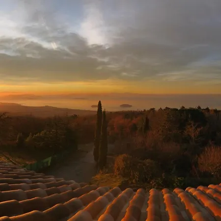 森西别墅住宿加早餐酒店